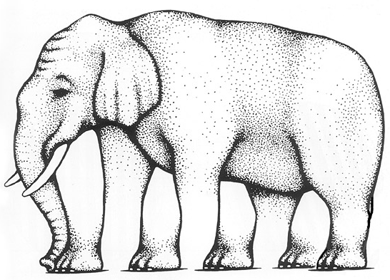 Ilusiones ópticas - ¿cuantas patas tiene el elefante?